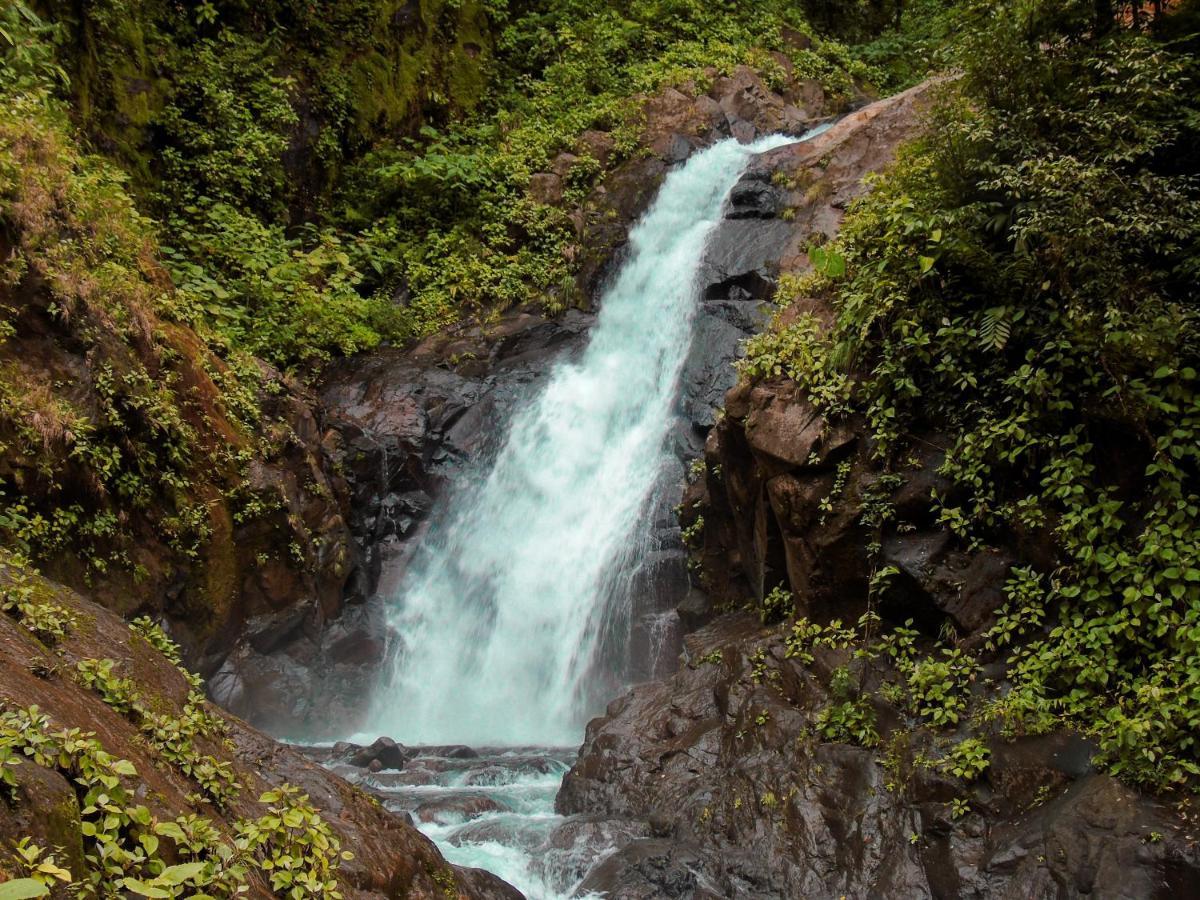 Cataratas Bijagua Lodge, Incluye Tour Autoguiado Bijagua Waterfalls Hike Exterior photo
