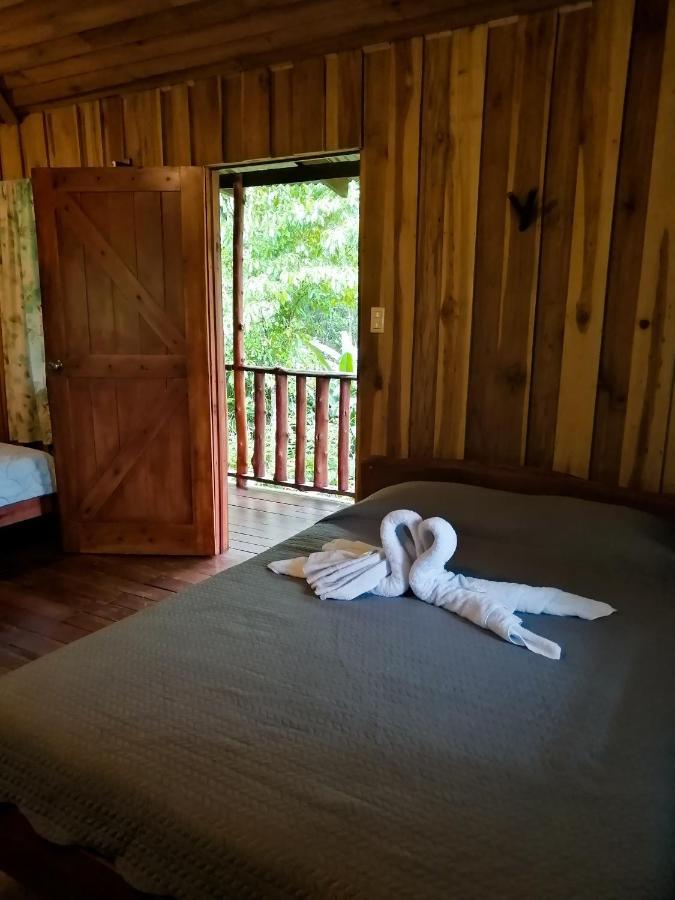 Cataratas Bijagua Lodge, Incluye Tour Autoguiado Bijagua Waterfalls Hike Exterior photo